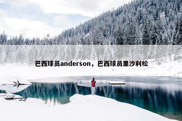 巴西球员anderson，巴西球员里沙利松