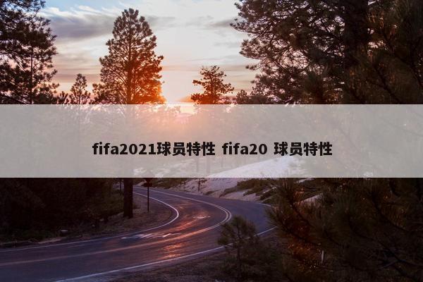 fifa2021球员特性 fifa20 球员特性