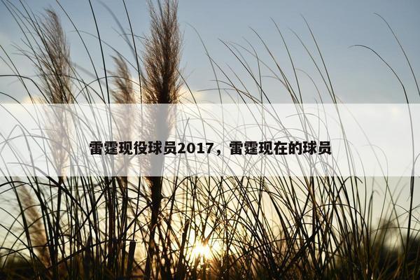 雷霆现役球员2017，雷霆现在的球员