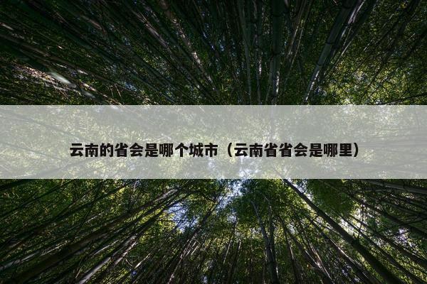 云南的省会是哪个城市（云南省省会是哪里）