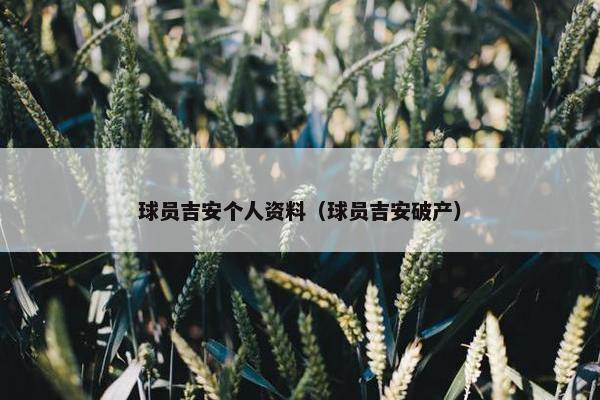 球员吉安个人资料（球员吉安破产）