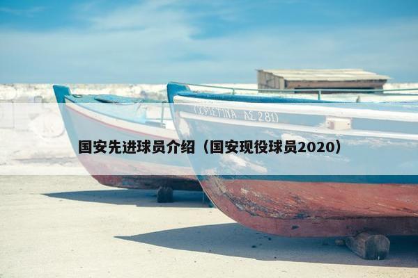 国安先进球员介绍（国安现役球员2020）