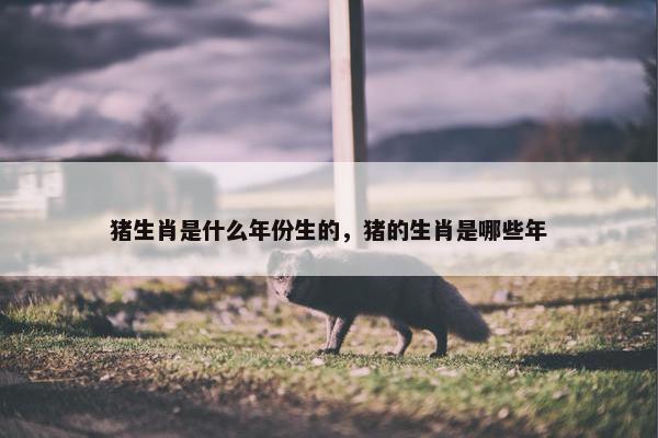 猪生肖是什么年份生的，猪的生肖是哪些年