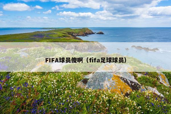 FIFA球员傻啊（fifa足球球员）