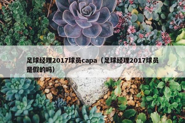 足球经理2017球员capa（足球经理2017球员是假的吗）