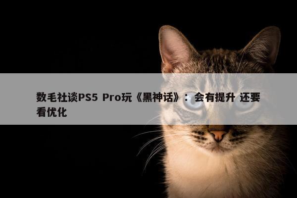 数毛社谈PS5 Pro玩《黑神话》：会有提升 还要看优化