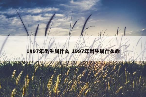 1997年出生属什么 1997年出生属什么命