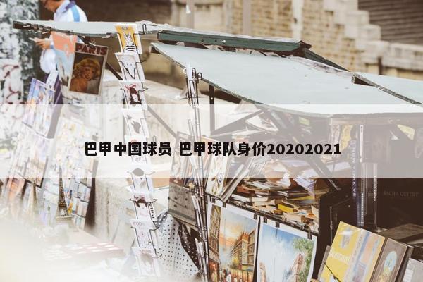 巴甲中国球员 巴甲球队身价20202021