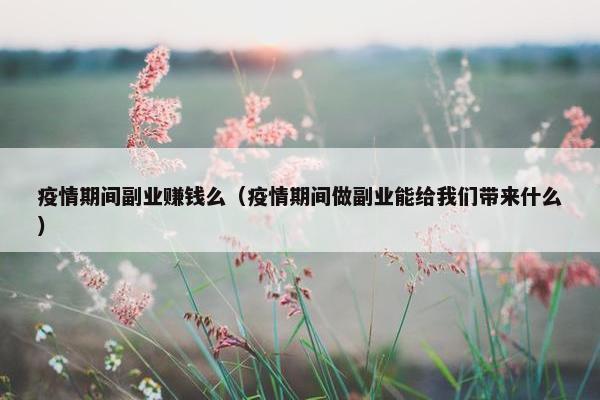 疫情期间副业赚钱么（疫情期间做副业能给我们带来什么）