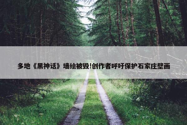 多地《黑神话》墙绘被毁!创作者呼吁保护石家庄壁画