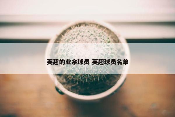 英超的业余球员 英超球员名单