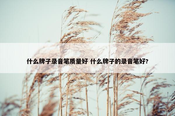 什么牌子录音笔质量好 什么牌子的录音笔好?