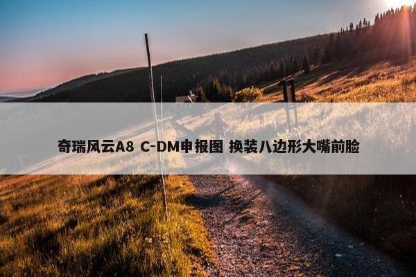 奇瑞风云A8 C-DM申报图 换装八边形大嘴前脸