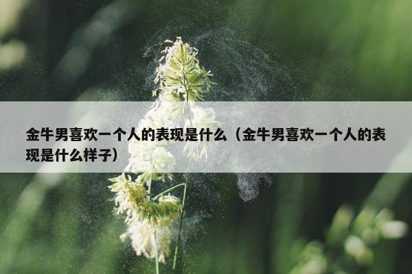 金牛男喜欢一个人的表现是什么（金牛男喜欢一个人的表现是什么样子）