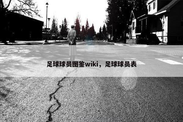 足球球员图鉴wiki，足球球员表