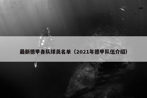 最新德甲各队球员名单（2021年德甲队伍介绍）