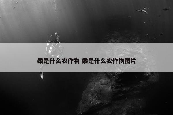 黍是什么农作物 黍是什么农作物图片