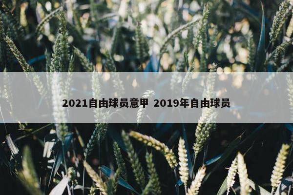 2021自由球员意甲 2019年自由球员