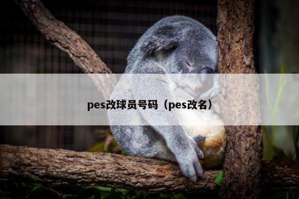 pes改球员号码（pes改名）