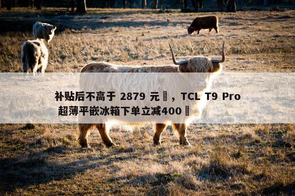 补贴后不高于 2879 元‏，TCL T9 Pro 超薄平嵌冰箱下单立减400‏