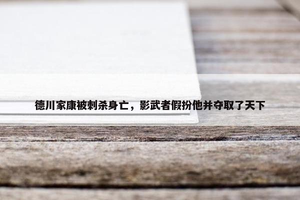 德川家康被刺杀身亡，影武者假扮他并夺取了天下