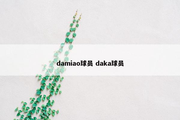 damiao球员 daka球员