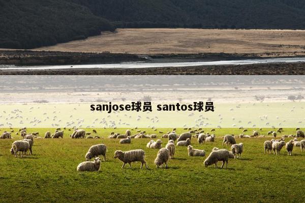 sanjose球员 santos球员