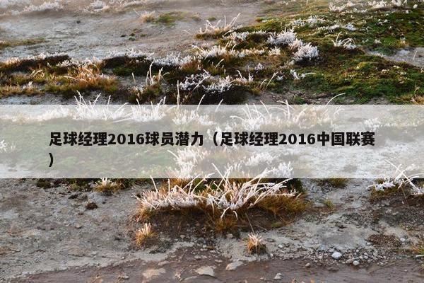 足球经理2016球员潜力（足球经理2016中国联赛）