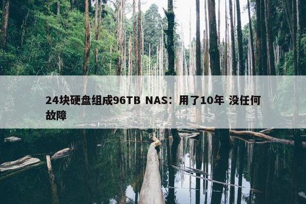 24块硬盘组成96TB NAS：用了10年 没任何故障