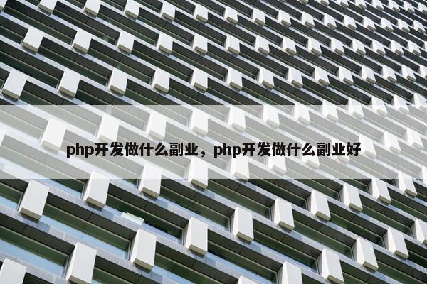 php开发做什么副业，php开发做什么副业好