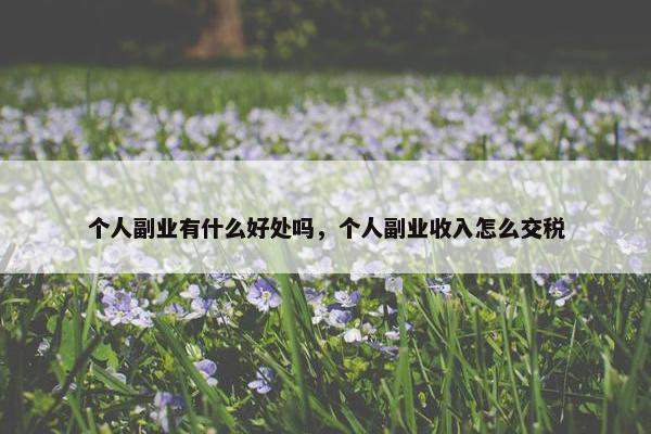 个人副业有什么好处吗，个人副业收入怎么交税