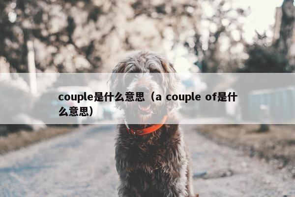 couple是什么意思（a couple of是什么意思）