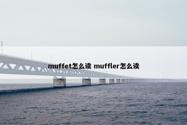 muffet怎么读 muffler怎么读