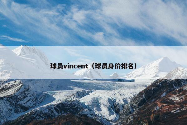 球员vincent（球员身价排名）