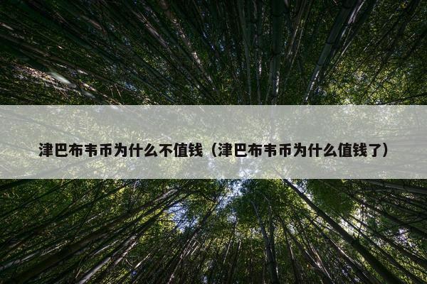 津巴布韦币为什么不值钱（津巴布韦币为什么值钱了）