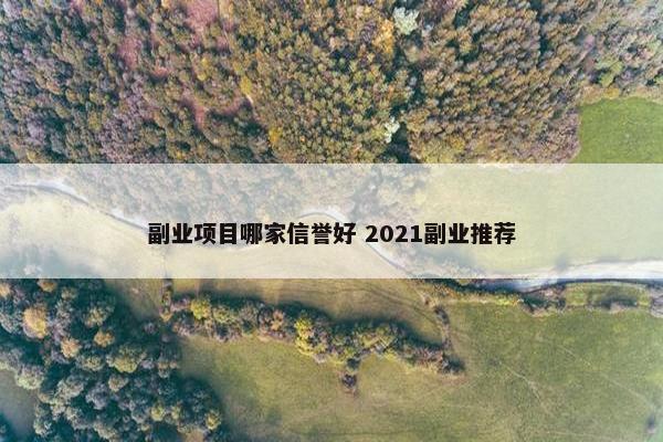 副业项目哪家信誉好 2021副业推荐