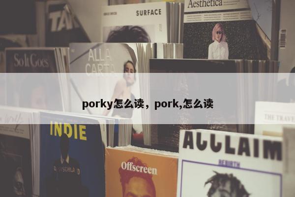 porky怎么读，pork,怎么读