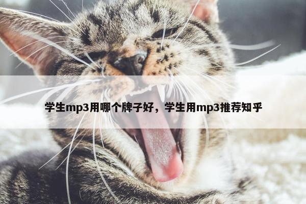 学生mp3用哪个牌子好，学生用mp3推荐知乎