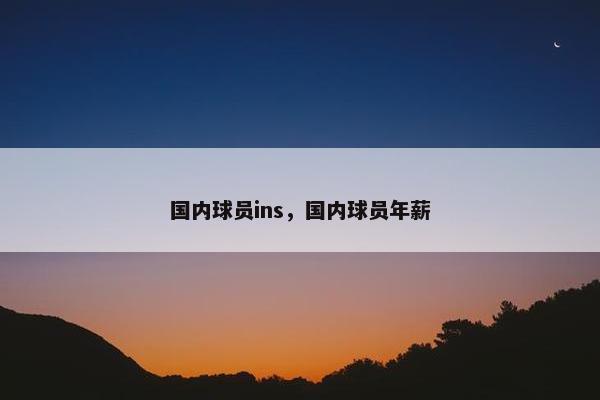 国内球员ins，国内球员年薪