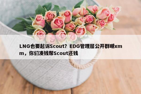 LNG也要起诉Scout？EDG管理层公开群嘲xmm，你们凑钱帮Scout还钱