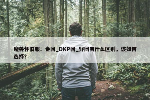 魔兽怀旧服：金团_DKP团_野团有什么区别，该如何选择？