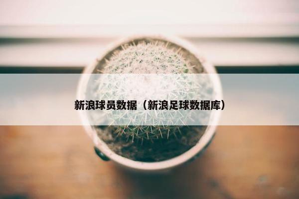 新浪球员数据（新浪足球数据库）