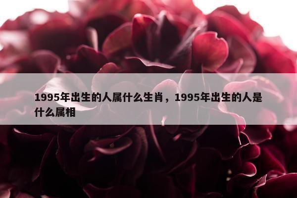 1995年出生的人属什么生肖，1995年出生的人是什么属相