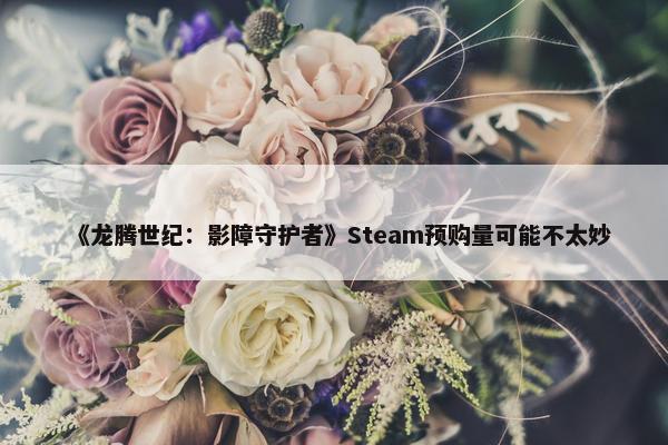 《龙腾世纪：影障守护者》Steam预购量可能不太妙