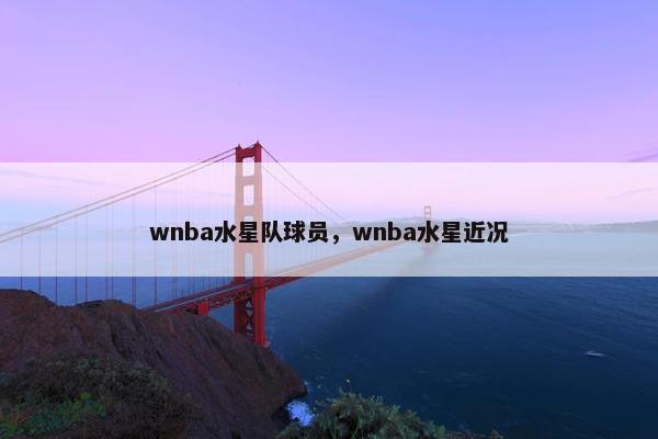 wnba水星队球员，wnba水星近况