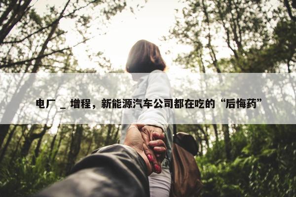 电厂 _ 增程，新能源汽车公司都在吃的“后悔药”