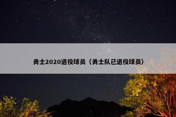 勇士2020退役球员（勇士队已退役球员）