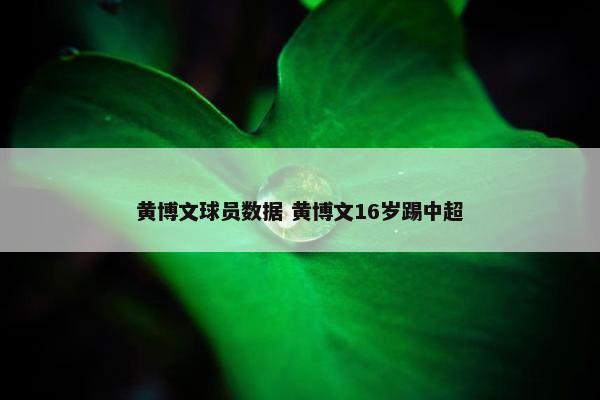 黄博文球员数据 黄博文16岁踢中超