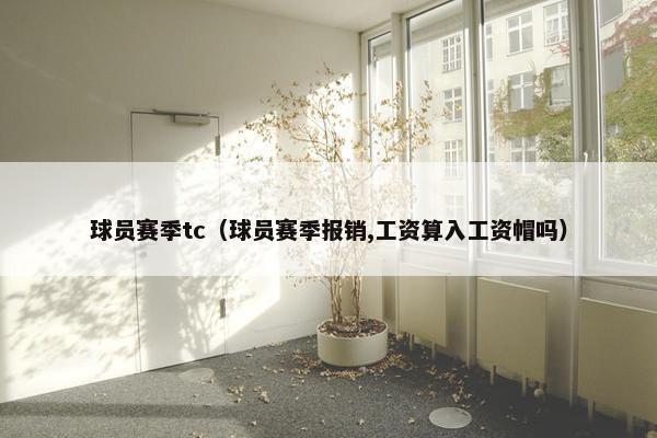 球员赛季tc（球员赛季报销,工资算入工资帽吗）