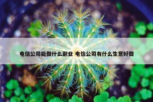 电信公司能做什么副业 电信公司有什么生意好做